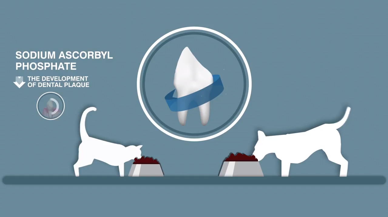 TANNHELSE / KONTROLL AV TANNSTEIN